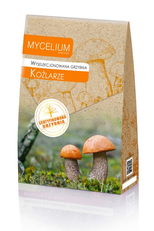 grzybnia-kozlarzy.jpg
