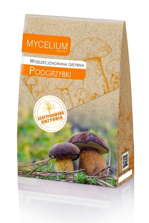 grzybnia-podgrzybki.jpg