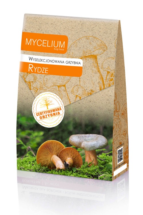 grzybnia-rydze.jpg