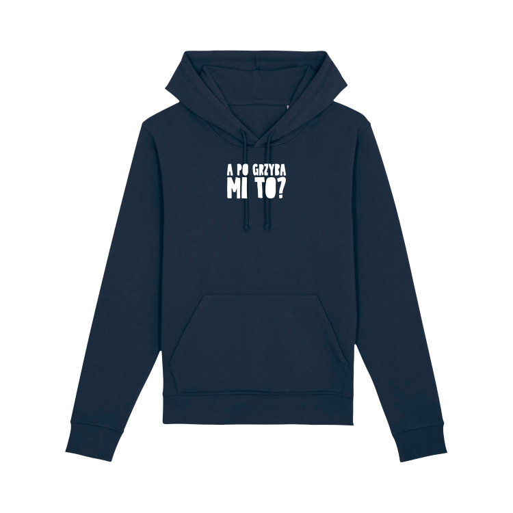 French Navy