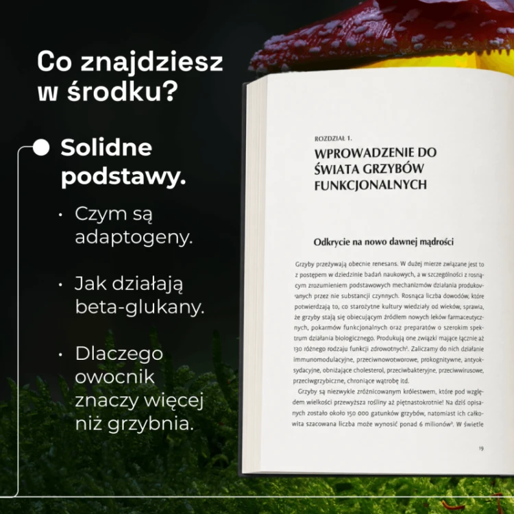 grzyby-funkcjonalne-ksiazka-1.png