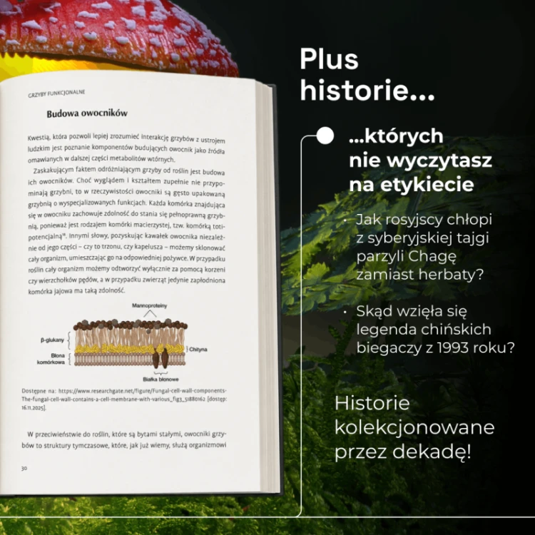 grzyby-funkcjonalne-ksiazka-2.png