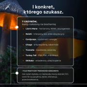 grzyby-funkcjonalne-ksiazka-3.png