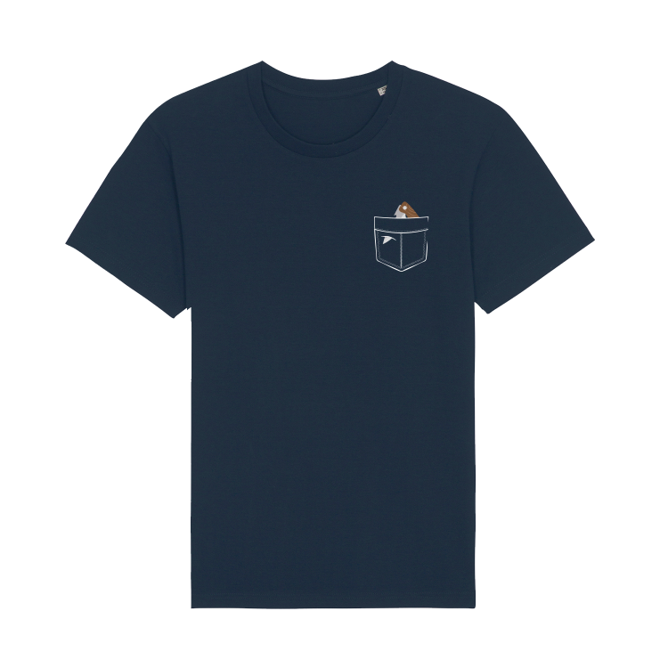 French Navy