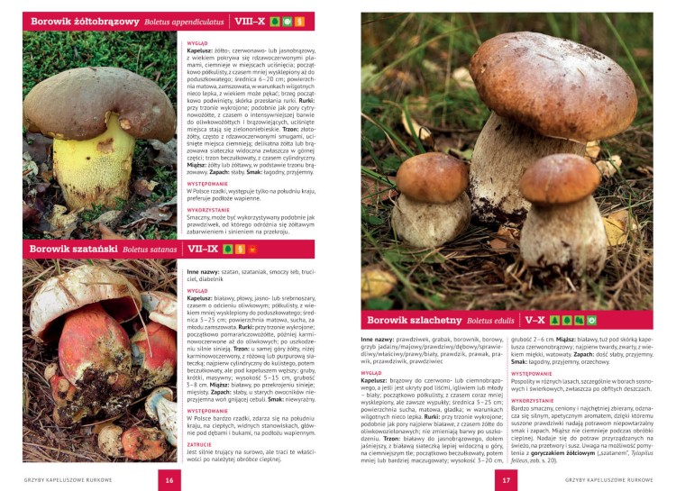 AtlasGrzybow_9788382227703_2.jpg
