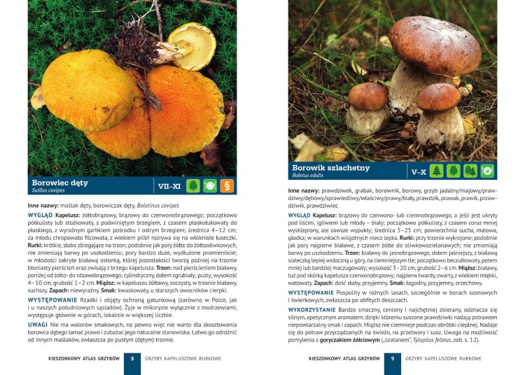 9788383483740_Kieszonkowy-atlas-grzybow_1.jpg
