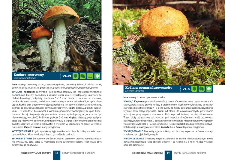 9788383483740_Kieszonkowy-atlas-grzybow_2.jpg