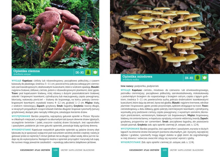 9788383483740_Kieszonkowy-atlas-grzybow_4.jpg