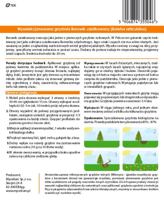 borowik-usiatkowany-instrukcja-uprawy.jpg